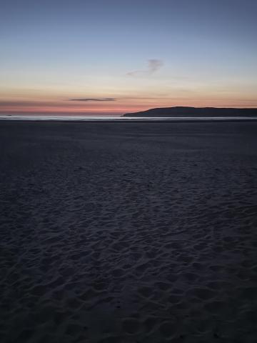 IMG_1208.thumb.jpeg.aaf320c588eb7ab690eaf83b23951cf8.jpeg