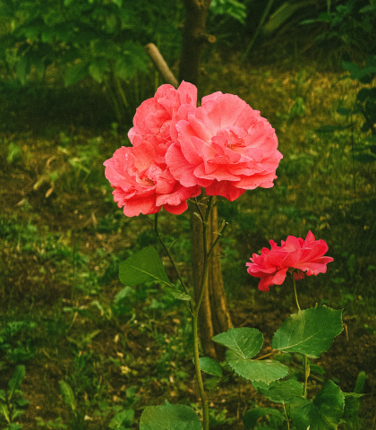 image.thumb.png.8d052689a67cd770ff60ea307390be48.png